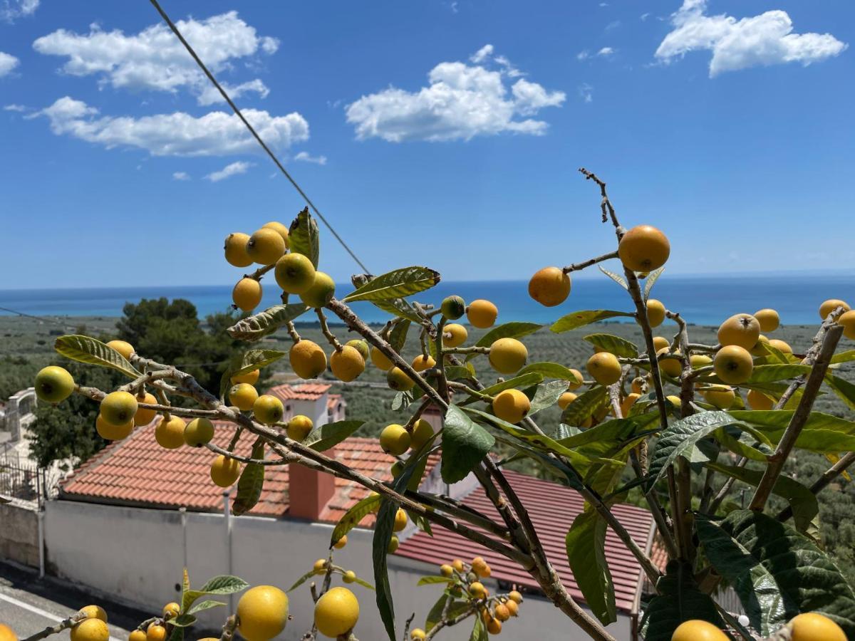 Villetta - Qui Dove Il Mare Luccica - Affitti Brevi Italia Monte SantʼAngelo Extérieur photo