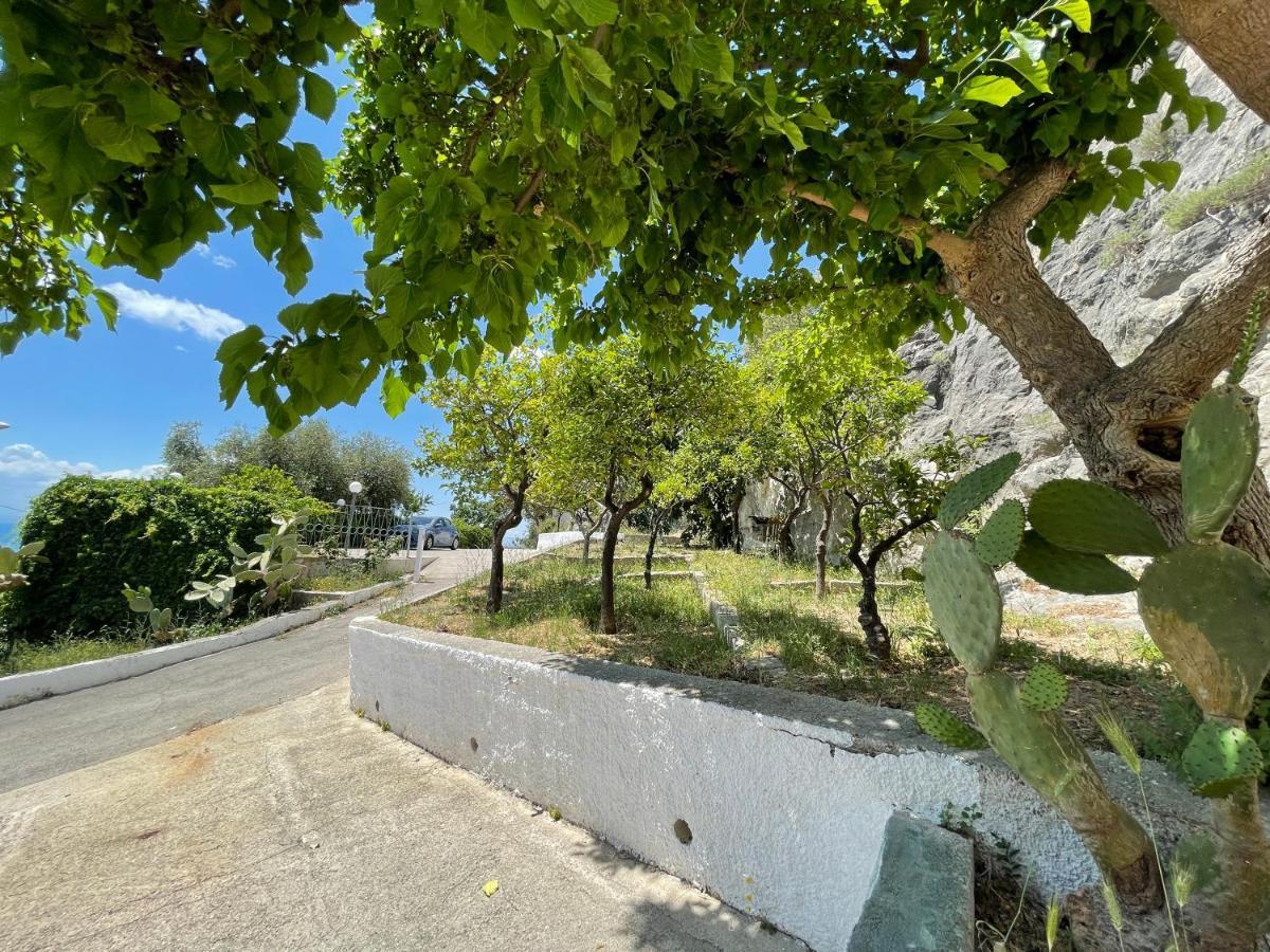 Villetta - Qui Dove Il Mare Luccica - Affitti Brevi Italia Monte SantʼAngelo Extérieur photo