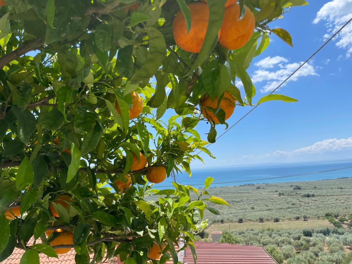Villetta - Qui Dove Il Mare Luccica - Affitti Brevi Italia Monte SantʼAngelo Extérieur photo