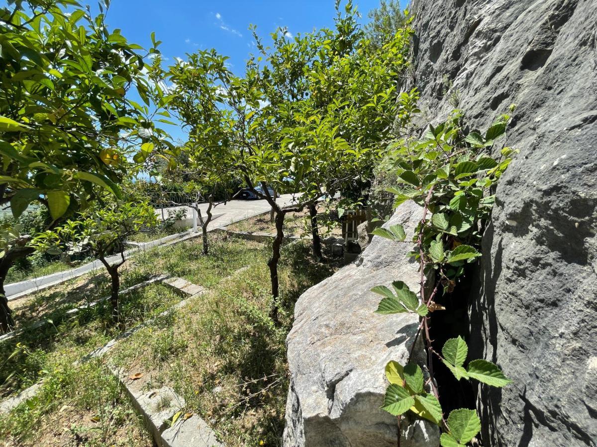 Villetta - Qui Dove Il Mare Luccica - Affitti Brevi Italia Monte SantʼAngelo Extérieur photo